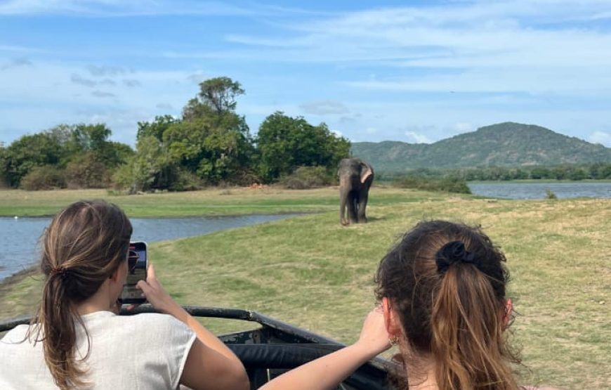 Sri Lanka 7-Day Tour